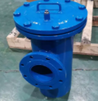 藍(lán)式管道過濾器 藍(lán)式管道過濾器